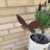 Sommerfugl i cortenstål som hænger over en blomsterkrukke