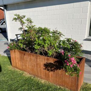 højbed 7 Højbed med blomster ved et hvidt hus