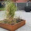 Firkantet bed i cortenstål med planter