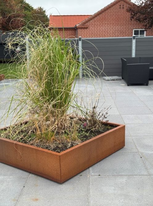 Firkantet bed Firkantet bed i cortenstål med planter