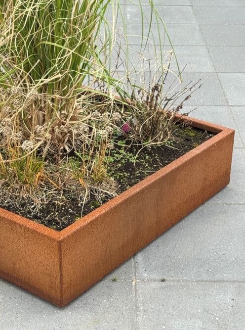 Firkantet bed Firkantet bed, beplantet med græs, tæt på