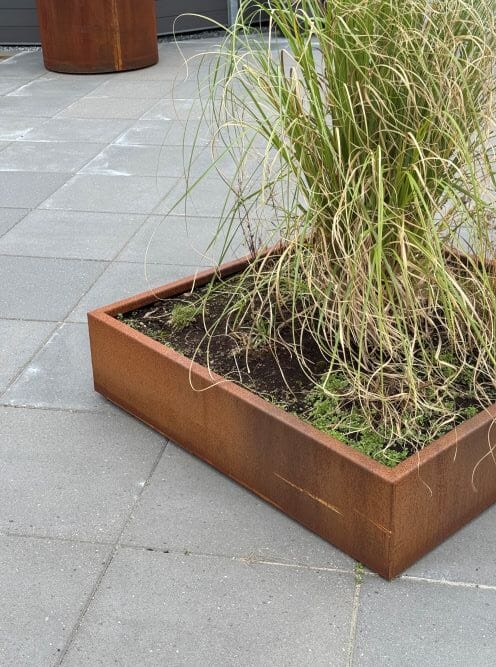 Firkantet bed i cortenstål som er beplantet