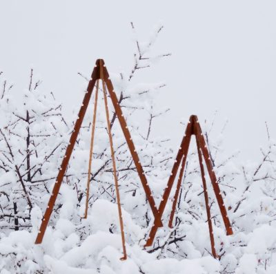 juletræer i sne